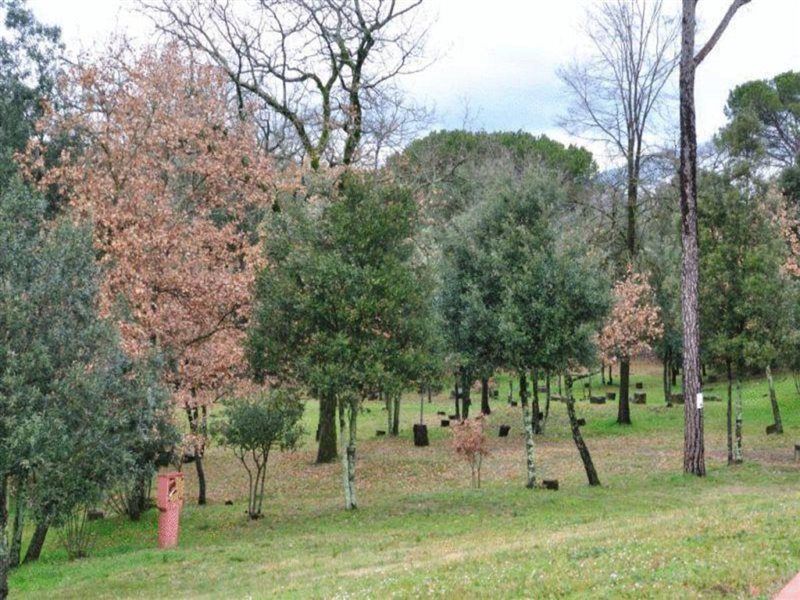 Toscana Verde Laterina Esterno foto